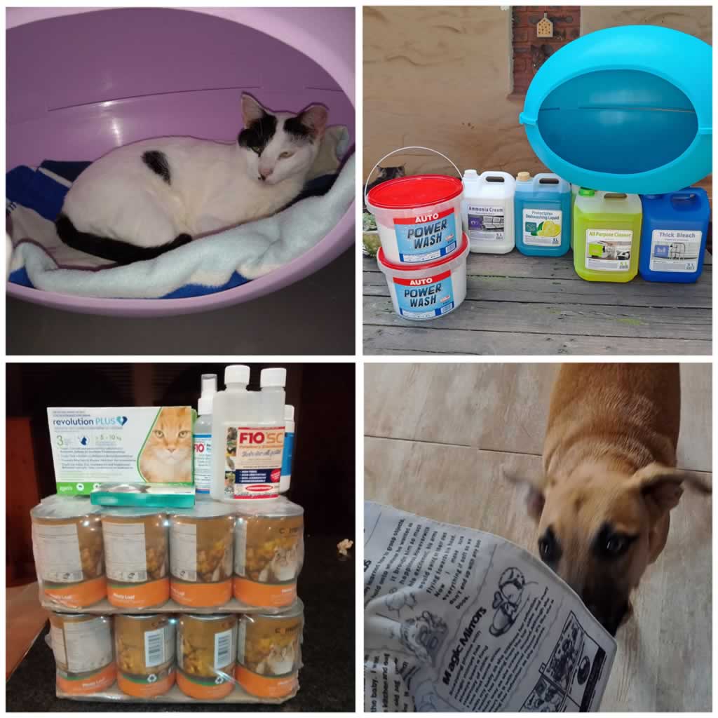Second Chance Sanctuary